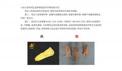 斗齿的纯正品和假冒品的外观鉴别方式